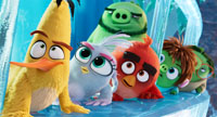 ANGRY BIRDS : COPAINS COMME COCHONS