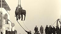 SOUNDTRACK TO A COUP D'ÉTAT