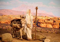 JE SUIS L’IMMACULEE CONCEPTION JE SUIS L’IMMACULEE CONCEPTION