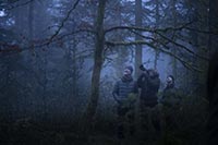 LE CHANT DES FORETS LE CHANT DES FORETS