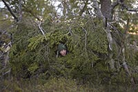 LE CHANT DES FORETS LE CHANT DES FORETS