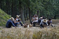 LE TEMPS DES MOISSONS