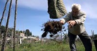 LA TERRE DE MON GRAND-PERE (PARTIE 1 : L’HERITAGE)
