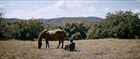 L'EDEN L'EDEN