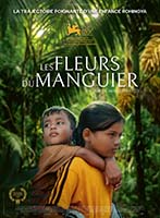 LES FLEURS DU MANGUIER