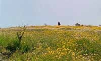 LES SAISONS LES SAISONS