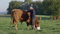 RURAL RURAL