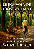 LE POUVOIR DE L’INSIGNIFIANT