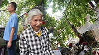 LE JARDIN DE MADAME HU LE JARDIN DE MADAME HU